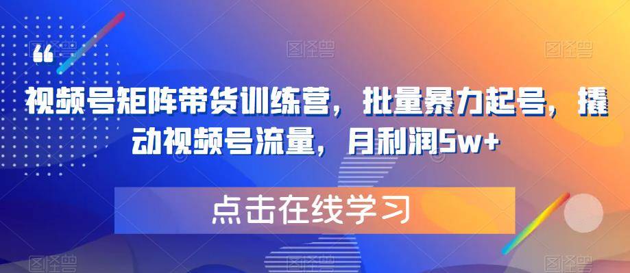 视频号矩阵带货训练营，批量暴力起号，撬动视频号流量，月利润5w+-小北视界