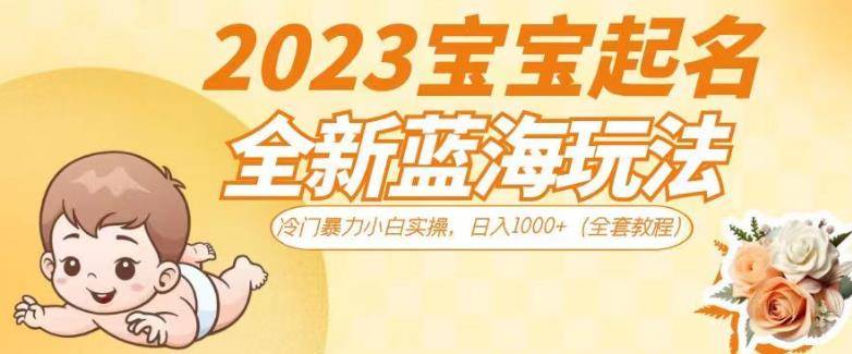 2023宝宝起名全新蓝海玩法，冷门暴力小白实操，日入1000+（全套教程）【揭秘】-小北视界