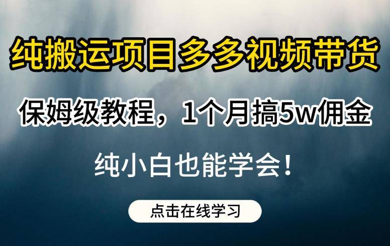 纯搬运项目多多视频带货保姆级教程，1个月搞5w佣金，纯小白也能学会【揭秘】-小北视界