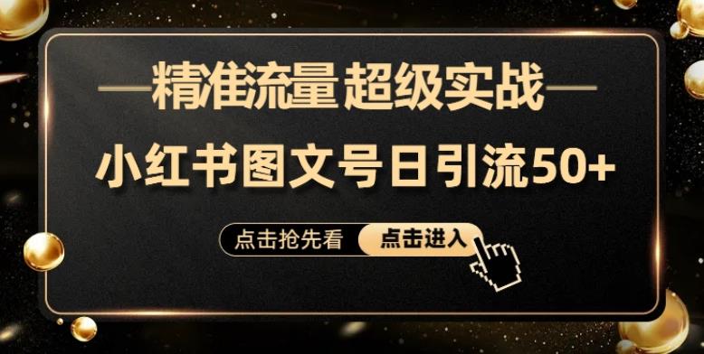 日引50+精准流量，小红书图文号，超级实战的小红书引流课，适合新手小白的项目-小北视界