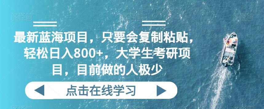 最新蓝海项目，只要会复制粘贴，轻松日入800+，大学生考研项目，目前做的人极少-小北视界