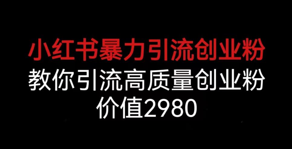 小红书暴力引流创业粉，教你引流高质量创业粉，价值2980【揭秘】-小北视界