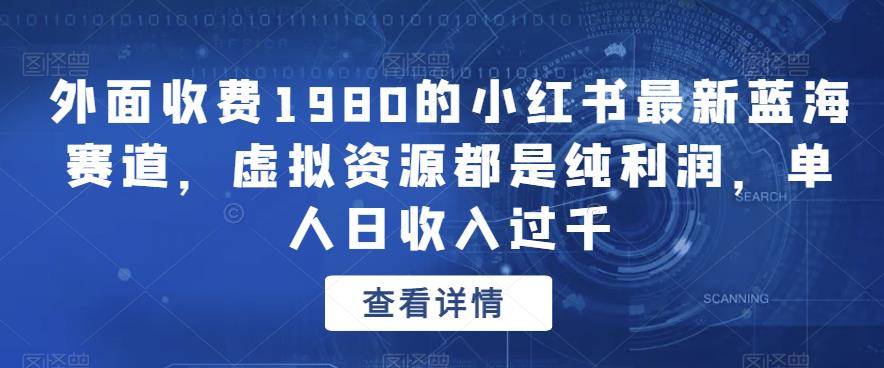 外面收费1980的小红书最新蓝海赛道，虚拟资源都是纯利润，单人日收入过千-小北视界