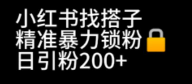 小红书找搭子暴力精准锁粉+引流日引200+精准粉-小北视界