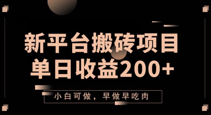 2023新平台搬砖项目，单日收益200+，小白可做，早做早吃肉-小北视界