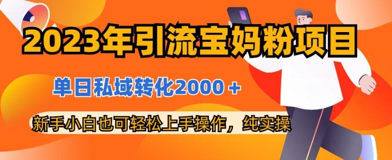 2023年引流宝妈粉项目，单日私域转化2000＋，新手小白也可轻松上手操作，纯实操-小北视界