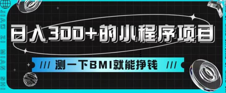 日入300+的小程序项目，测一下BMI就能挣钱【揭秘】-小北视界