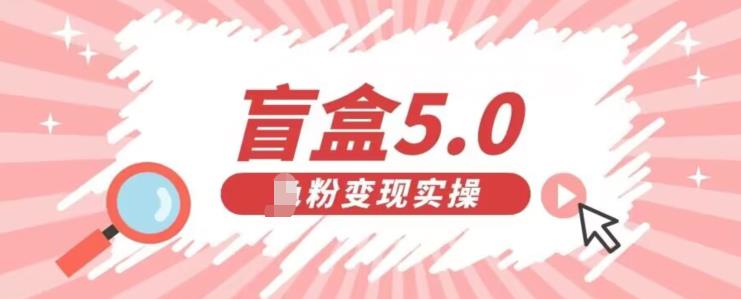 盲盒交友5.0，男粉变现实操项目，亲测变现效果极好【揭秘】-小北视界