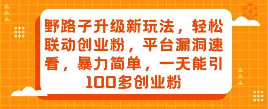 野路子升级新玩法，轻松联动创业粉，平台漏洞速看，暴力简单，一天能引100多创业粉-小北视界