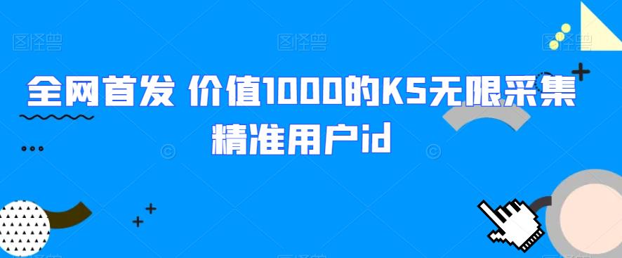 全网首发 价值1000的KS无限采集精准用户id-小北视界