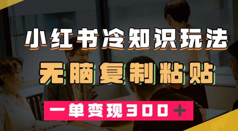 小红书冷知识玩法，无脑复制粘贴，一单变现300＋-小北视界