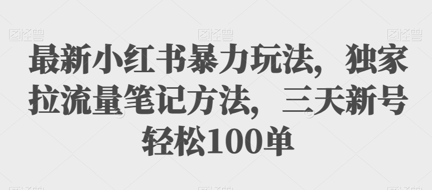 最新小红书暴力玩法，独家拉流量笔记方法，三天新号轻松100单【揭秘】-小北视界