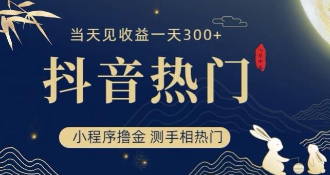 抖音最新小程序撸金，测手相上热门，当天见收益一小时变现300+【揭秘】-小北视界