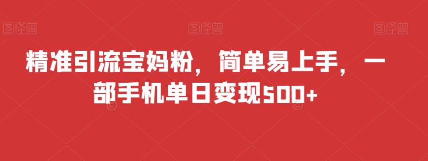 精准引流宝妈粉，简单易上手，一部手机单日变现500+-小北视界