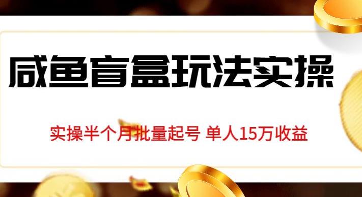 独家首发咸鱼盲盒玩法实操，半个月批量起号单人15万收益【揭秘】-小北视界