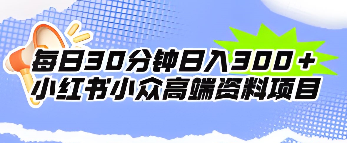 每日30分钟日入300＋小红书小众高端资料项目-小北视界