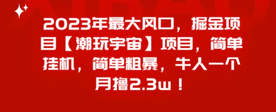 2023年最大风口，掘金项目【潮玩宇宙】，简单挂机，简单粗暴，牛人一个月撸2.3w！-小北视界