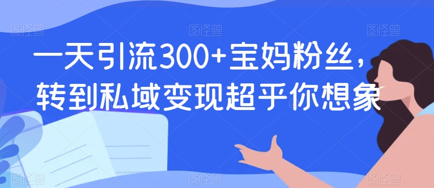 一天引流300+宝妈粉丝，转到私域变现超乎你想象-小北视界