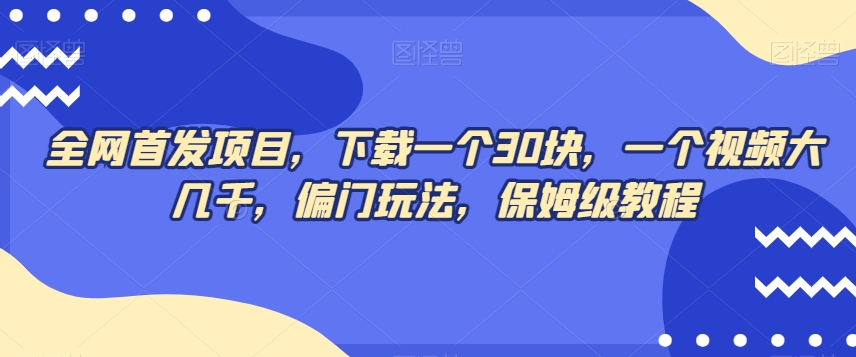 全网首发项目，下载一个30块，一个视频大几千，偏门玩法，保姆级教程-小北视界