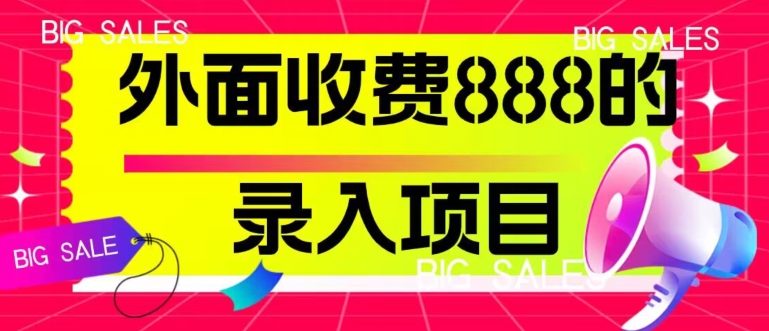 外面收费888的录入项目，简单操作，适合小白操作-小北视界