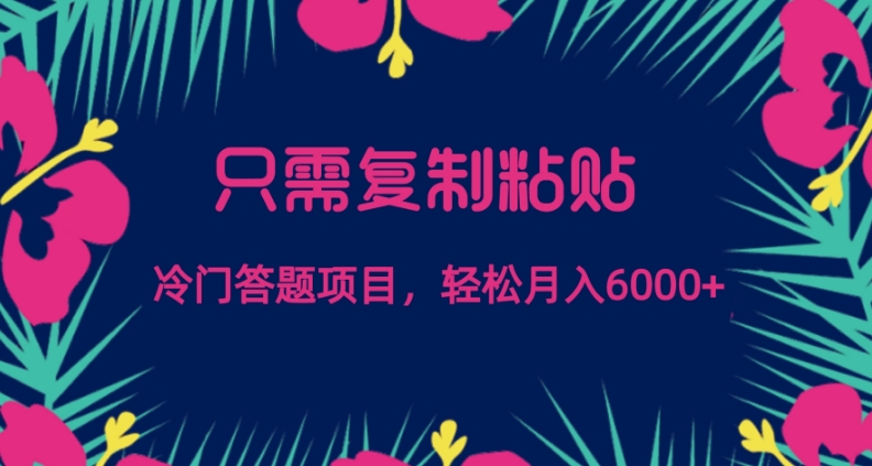 只需复制粘贴，冷门答题项目，轻松月入6000-小北视界