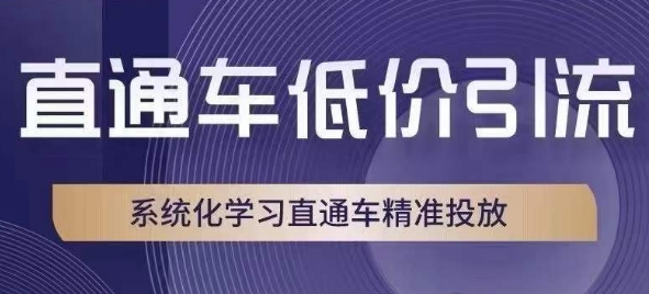 直通车低价引流课，系统化学习直通车精准投放-小北视界