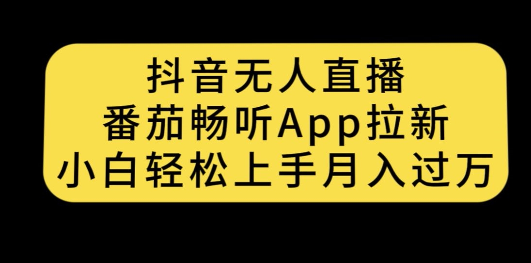 抖音无人直播，番茄畅听APP拉新，小白轻松上手月入过万-小北视界