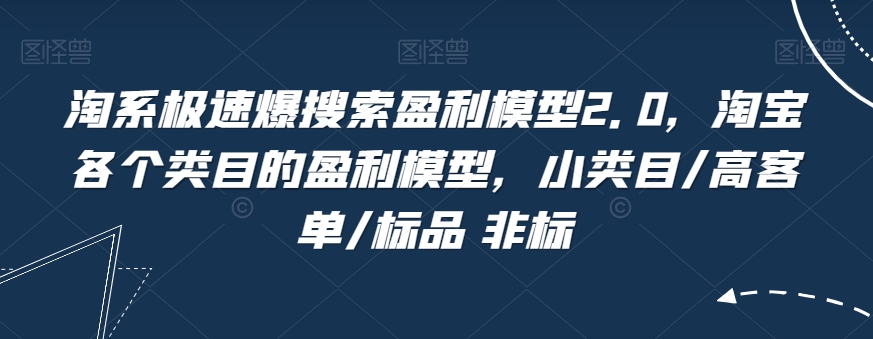 淘系极速爆搜索盈利模型2.0，淘宝各个类目的盈利模型，小类目/高客单/标品 非标-小北视界