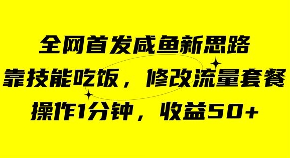 咸鱼冷门新玩法，靠“技能吃饭”，修改流量套餐，操作1分钟，收益50【揭秘】-小北视界