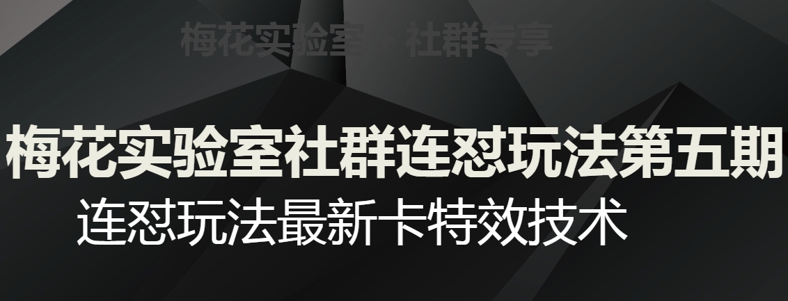 梅花实验室社群连怼玩法第五期，视频号连怼玩法最新卡特效技术-小北视界