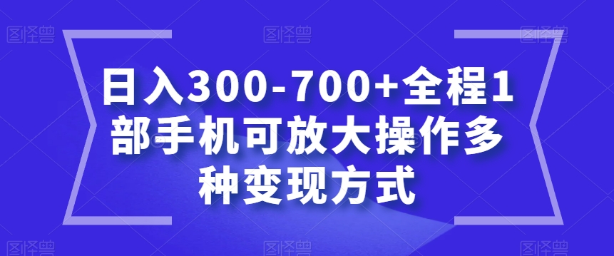 日入300-700+全程1部手机可放大操作多种变现方式【揭秘】-小北视界