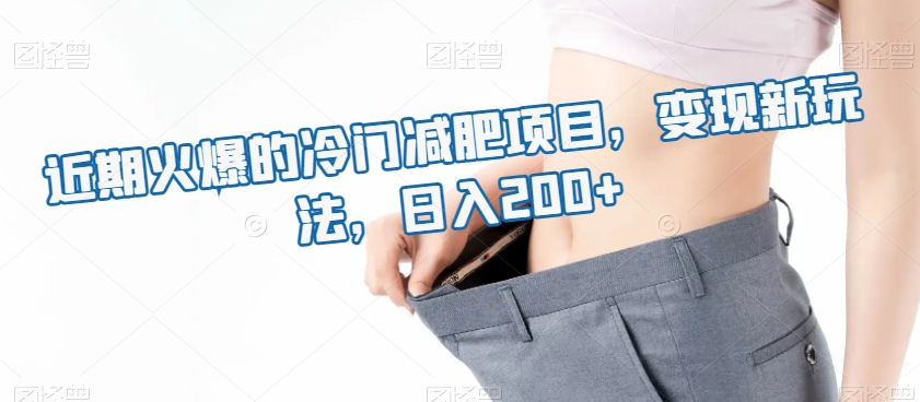 近期火爆的冷门减肥项目，变现新玩法，日入200+-小北视界