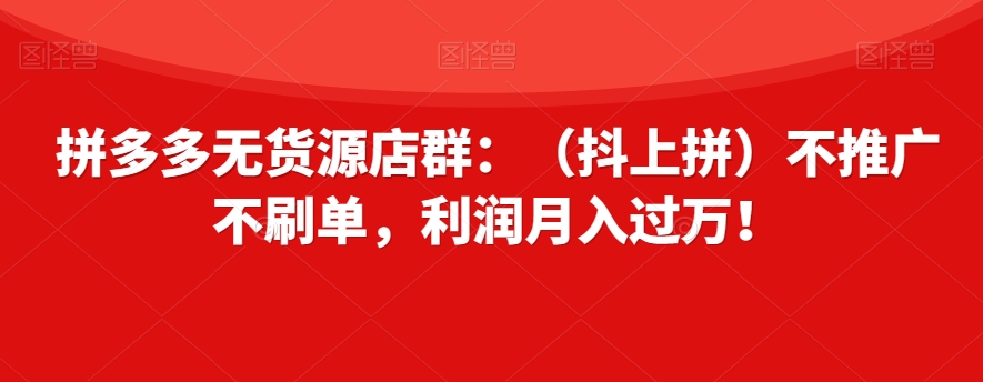 拼多多无货源店群：（抖上拼）不推广不刷单，利润月入过万！【揭秘】-小北视界