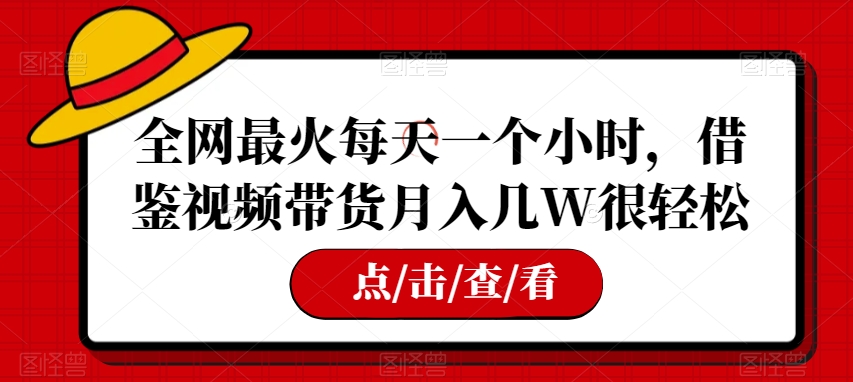 全网最火每天一个小时，借鉴视频带货月入几W很轻松【揭秘】-小北视界