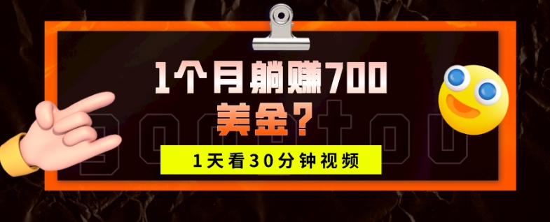 1天看30分钟视频，1个月躺赚700美金？-小北视界