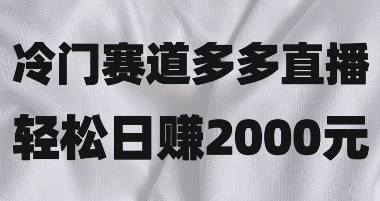 冷门赛道拼多多直播，简单念稿子，日收益2000＋【揭秘】-小北视界