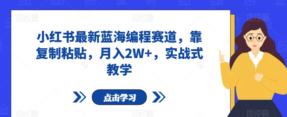 小红书最新蓝海编程赛道，靠复制粘贴，月入2W+，实战式教学【揭秘】-小北视界