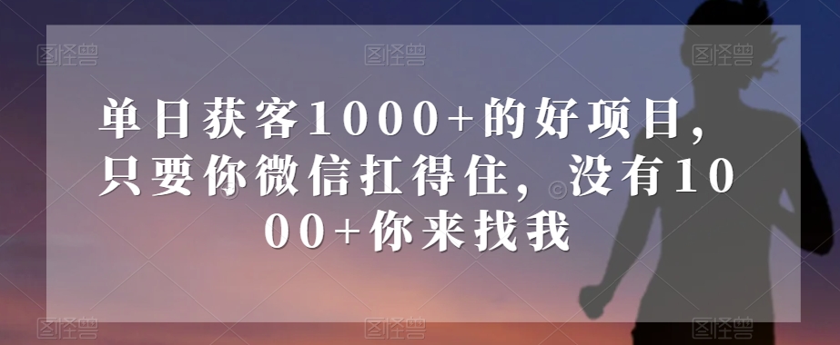 单日获客1000+的好项目，只要你微信扛得住，没有1000+你来找我【揭秘】-小北视界