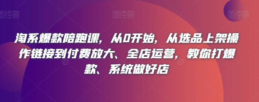 淘系爆款陪跑课，从0开始，从选品上架操作链接到付费放大、全店运营，教你打爆款、系统做好店-小北视界