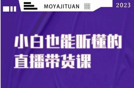 大威本威·能听懂的直播带货课，小白也能听懂，20节完整-小北视界