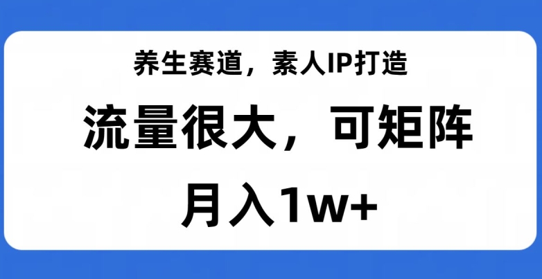 养生赛道，素人IP打造，流量很大，可矩阵，月入1w+【揭秘】-小北视界