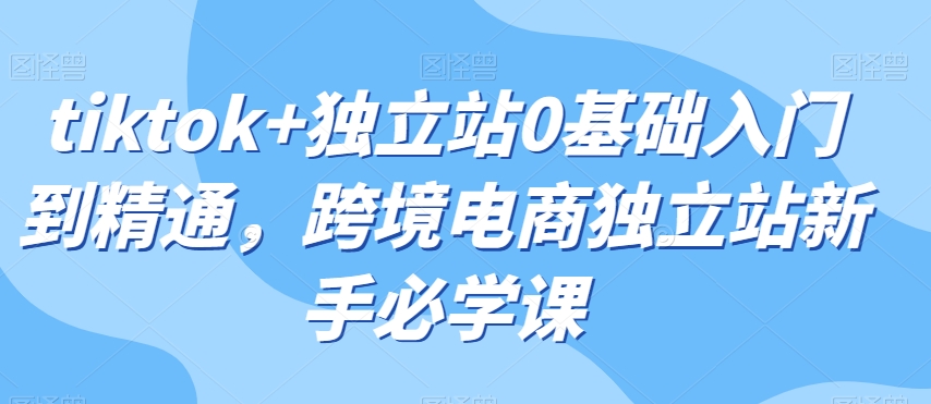 tiktok+独立站0基础入门到精通，跨境电商独立站新手必学课-小北视界