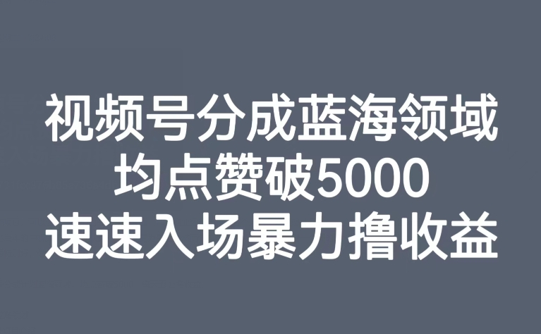 视频号分成蓝海领域，均点赞破5000，速速入场暴力撸收益-小北视界