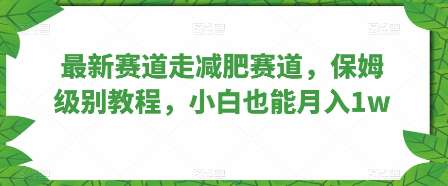 最新赛道走减肥赛道，保姆级别教程，小白也能月入1w-小北视界