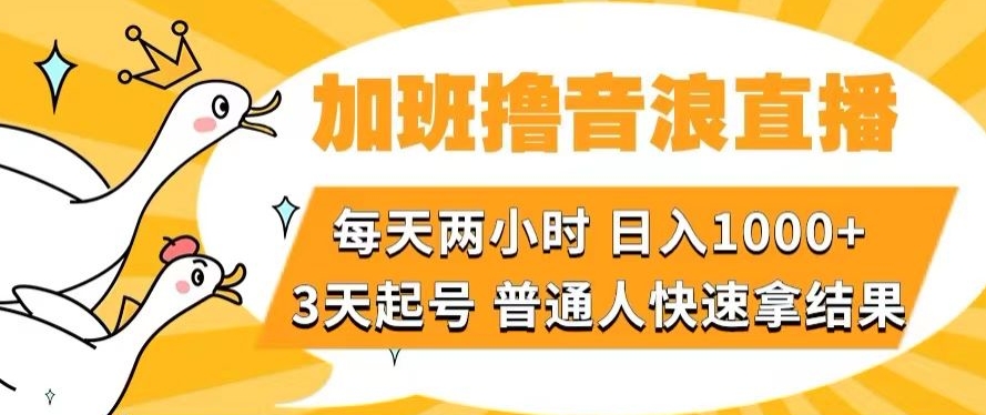 加班撸音浪直播，每天两小时，日入1000+，直播话术才3句，3天起号，普通人快速拿结果【揭秘】-小北视界