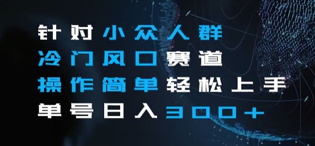 针对小众人群冷门风口赛道，操作简单轻松上手单号日入300+-小北视界