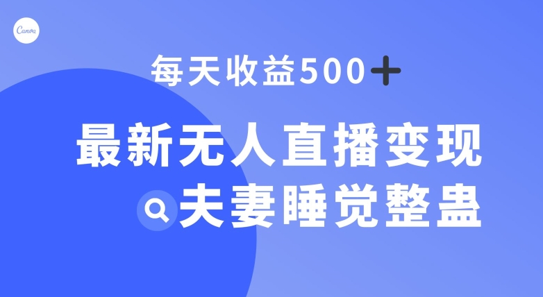 最新无人直播变现，夫妻睡觉整蛊，每天躺赚500+【揭秘】-小北视界