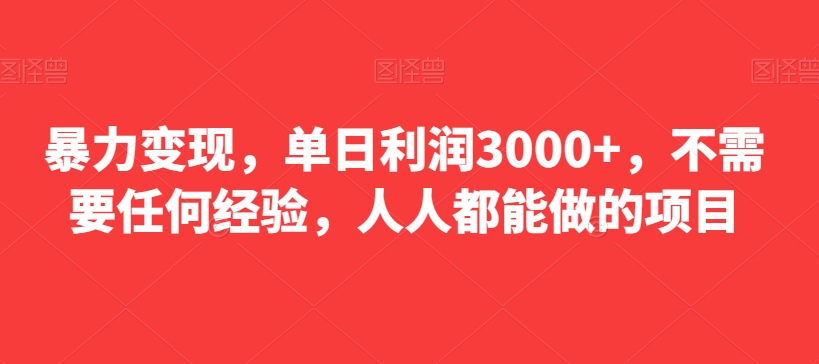 暴力变现，单日利润3000+，不需要任何经验，人人都能做的项目-小北视界