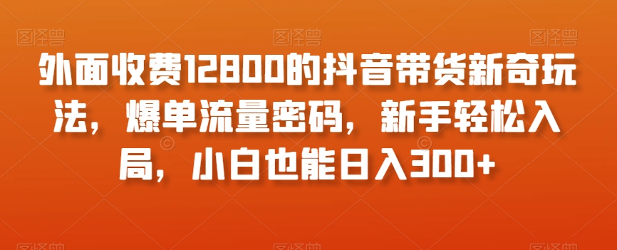 外面收费12800的抖音带货新奇玩法，爆单流量密码，新手轻松入局，小白也能日入300+【揭秘】-小北视界