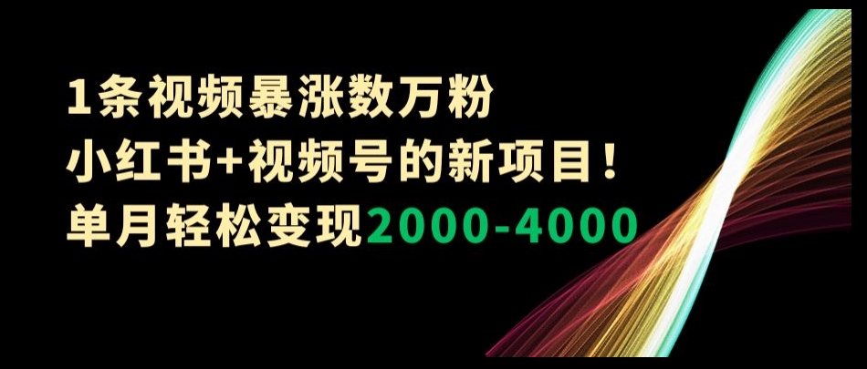 1条视频暴涨数万粉–小红书+视频号的新项目！单月轻松变现2000-4000【揭秘】-小北视界